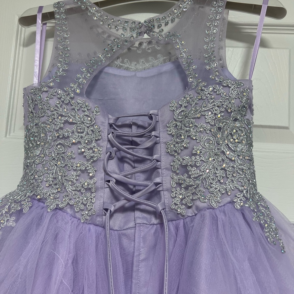 Purple & silver  Formal Dress - Picture 6 of 8